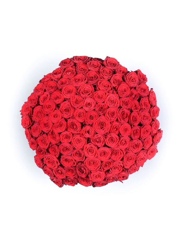 Růže rudé 70cm - PREMIOVÁ KVALITA